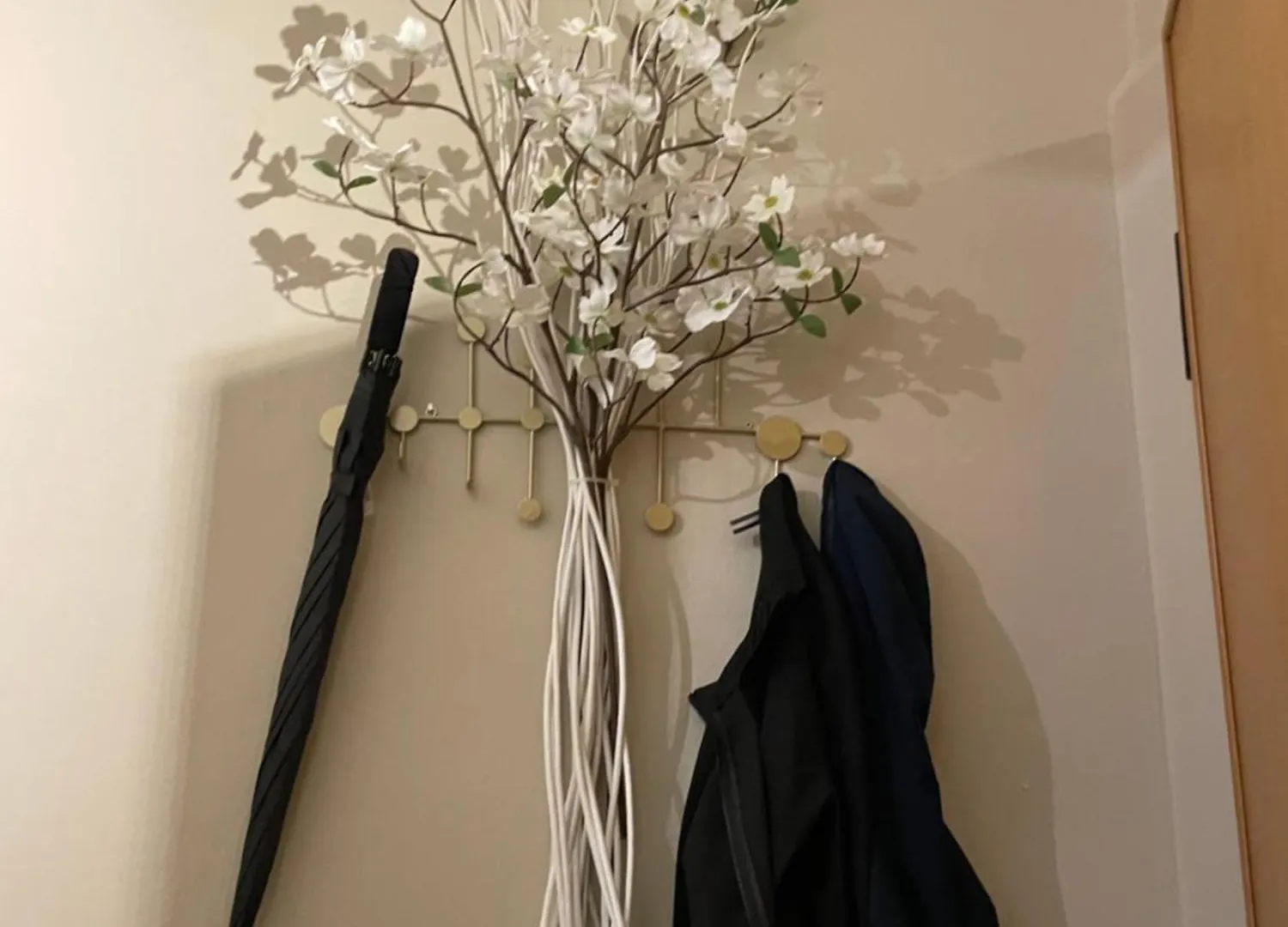 Apartament Casa Mirfak Piza